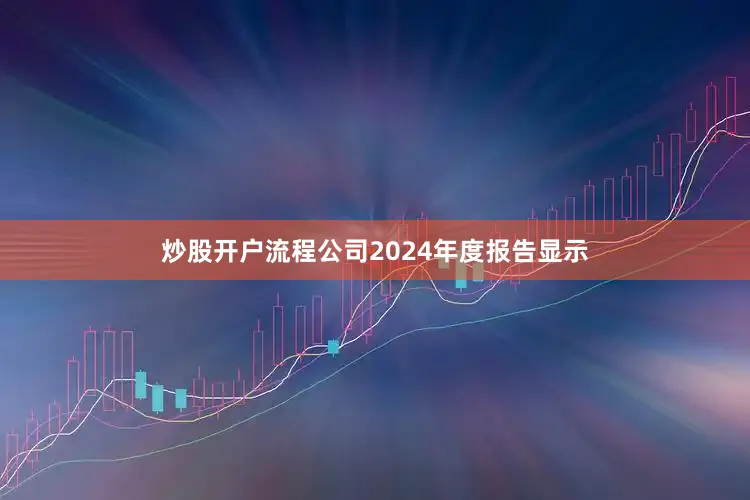 炒股开户流程公司2024年度报告显示