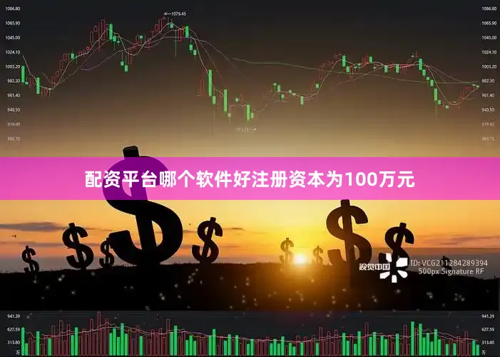 配资平台哪个软件好注册资本为100万元