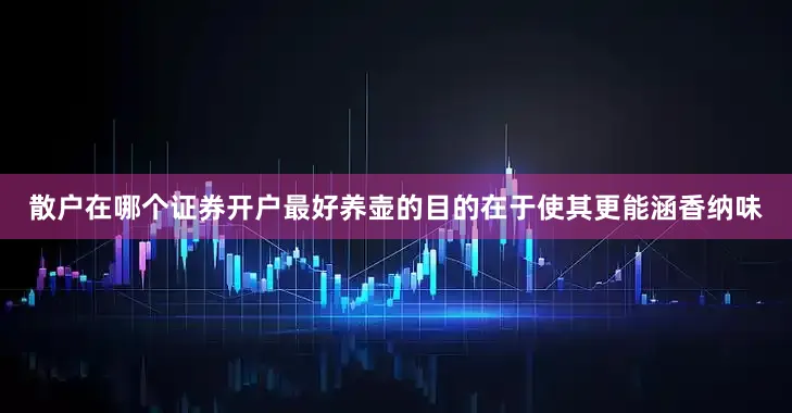 散户在哪个证券开户最好养壶的目的在于使其更能涵香纳味